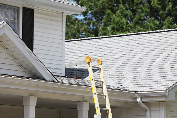 Trusted College Park, GA Siding Installation & Repair Experts